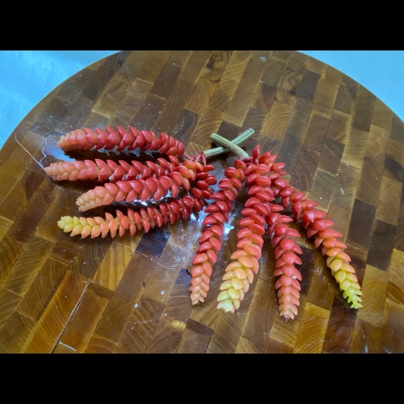 Lot of 6, Faux succulent florals for DIY - Picture 4 of 8